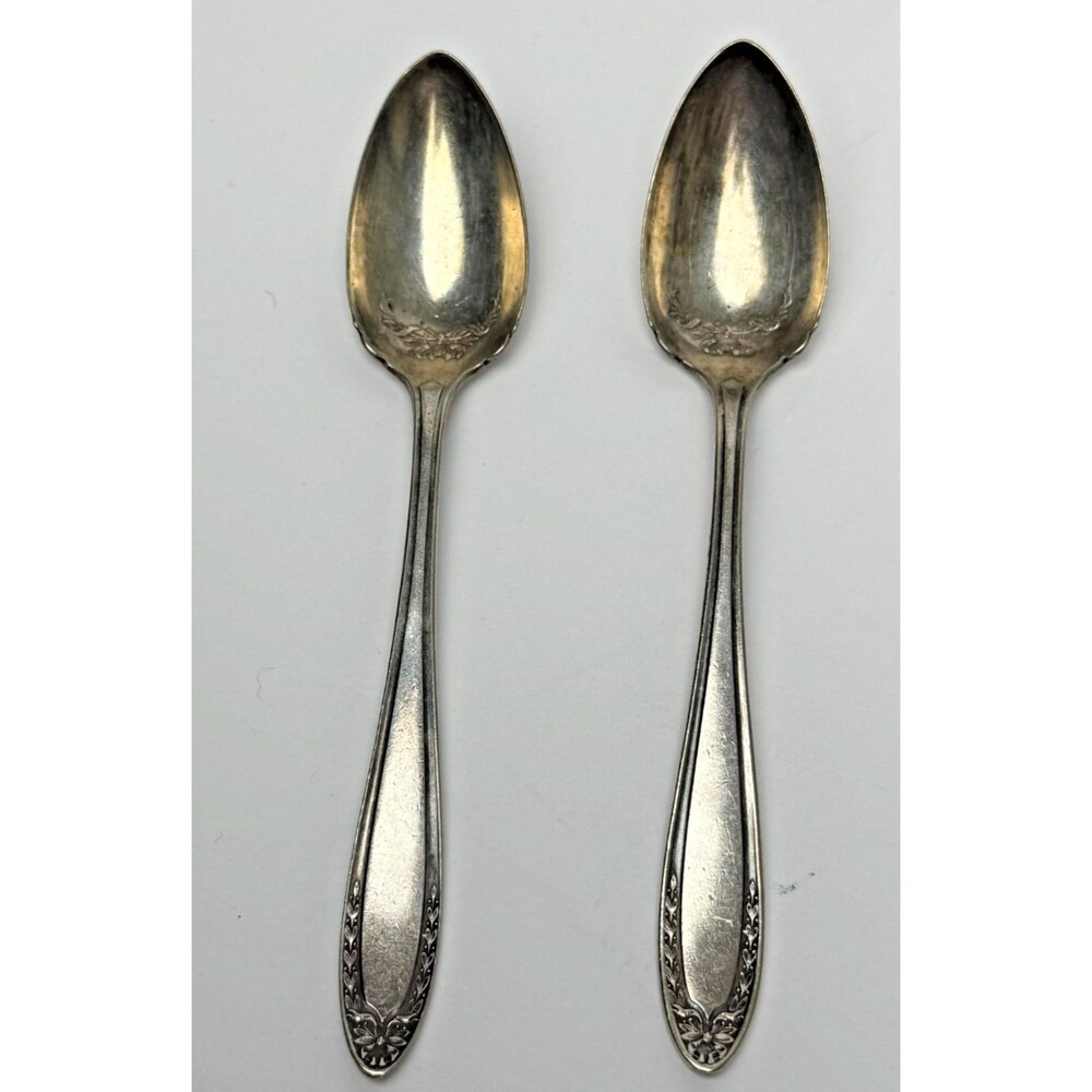Oneida Community Par Plate 2 Fruit Spoons Bridal Wreath Antique Silverplate 1915
